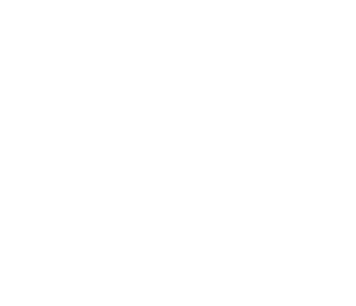 Meollo Digital